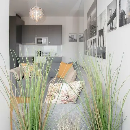 Liiiving - Invictus Bolhao Terrace بورتو