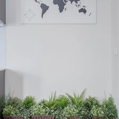 Liiiving - Invictus Bolhao Terrace بورتو