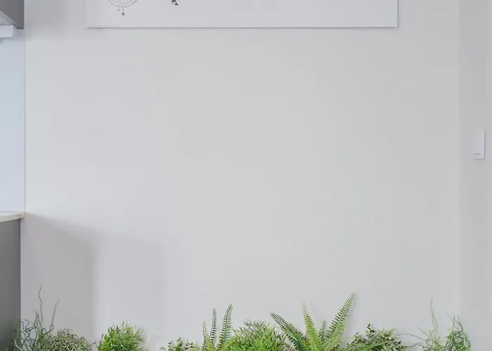 Liiiving - Invictus Bolhao Terrace Porto